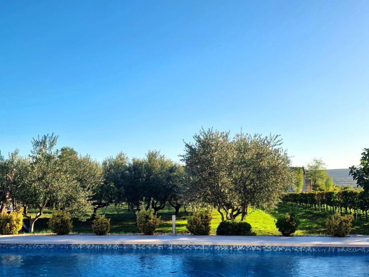 Villa Lorema-Pet Friendly On 5000 Sqm Garden,Pool, Jacuzzi, Billiard&Ps5 Свети-Филип-и-Яков Экстерьер фото