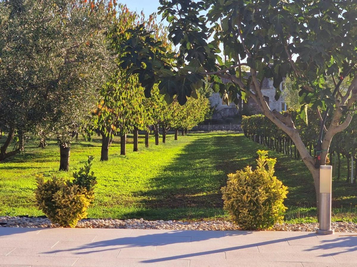 Villa Lorema-Pet Friendly On 5000 Sqm Garden,Pool, Jacuzzi, Billiard&Ps5 Свети-Филип-и-Яков Экстерьер фото