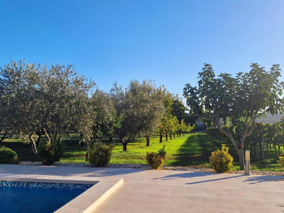 Villa Lorema-Pet Friendly On 5000 Sqm Garden,Pool, Jacuzzi, Billiard&Ps5 Свети-Филип-и-Яков Экстерьер фото